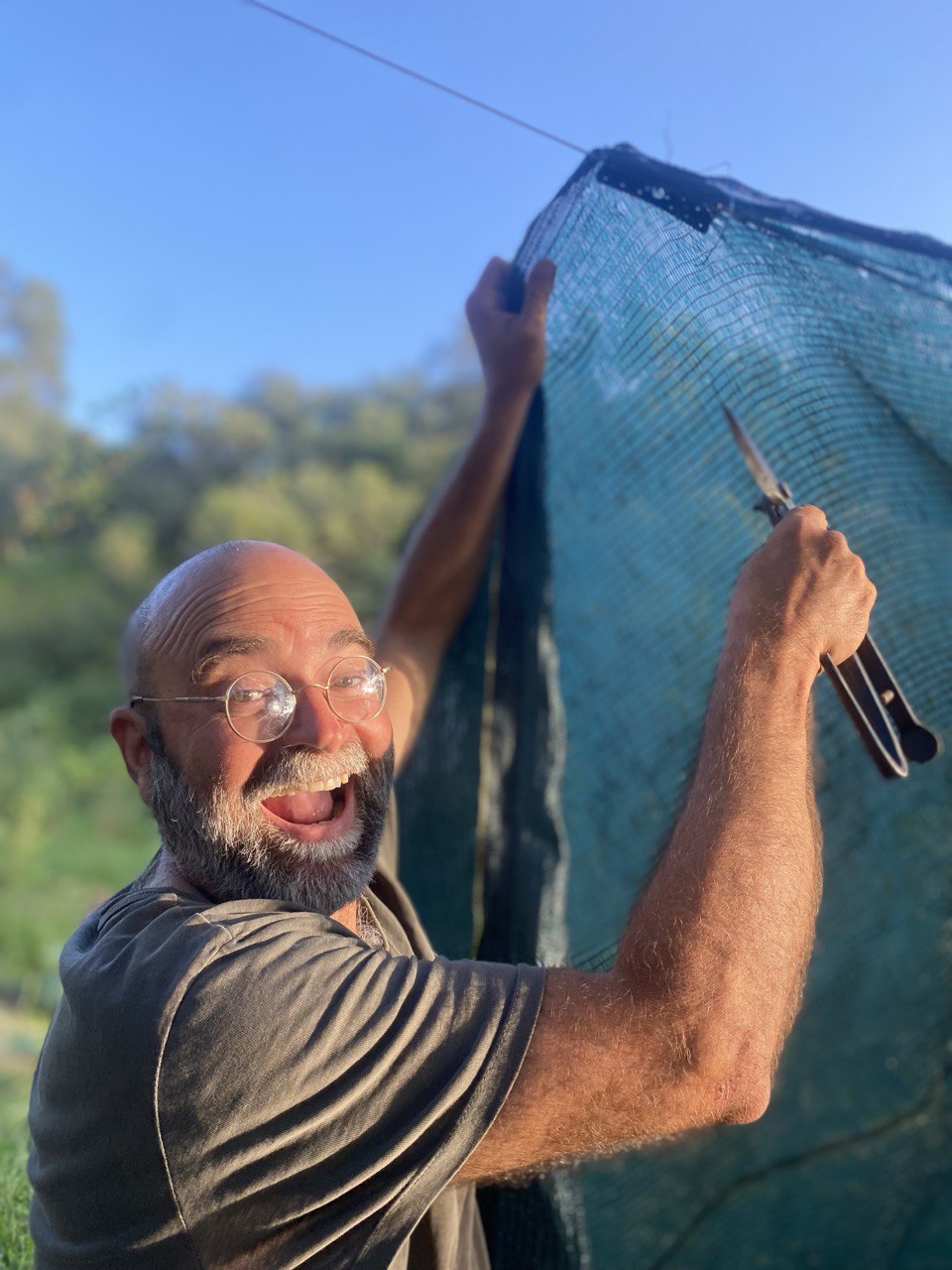Building the garden