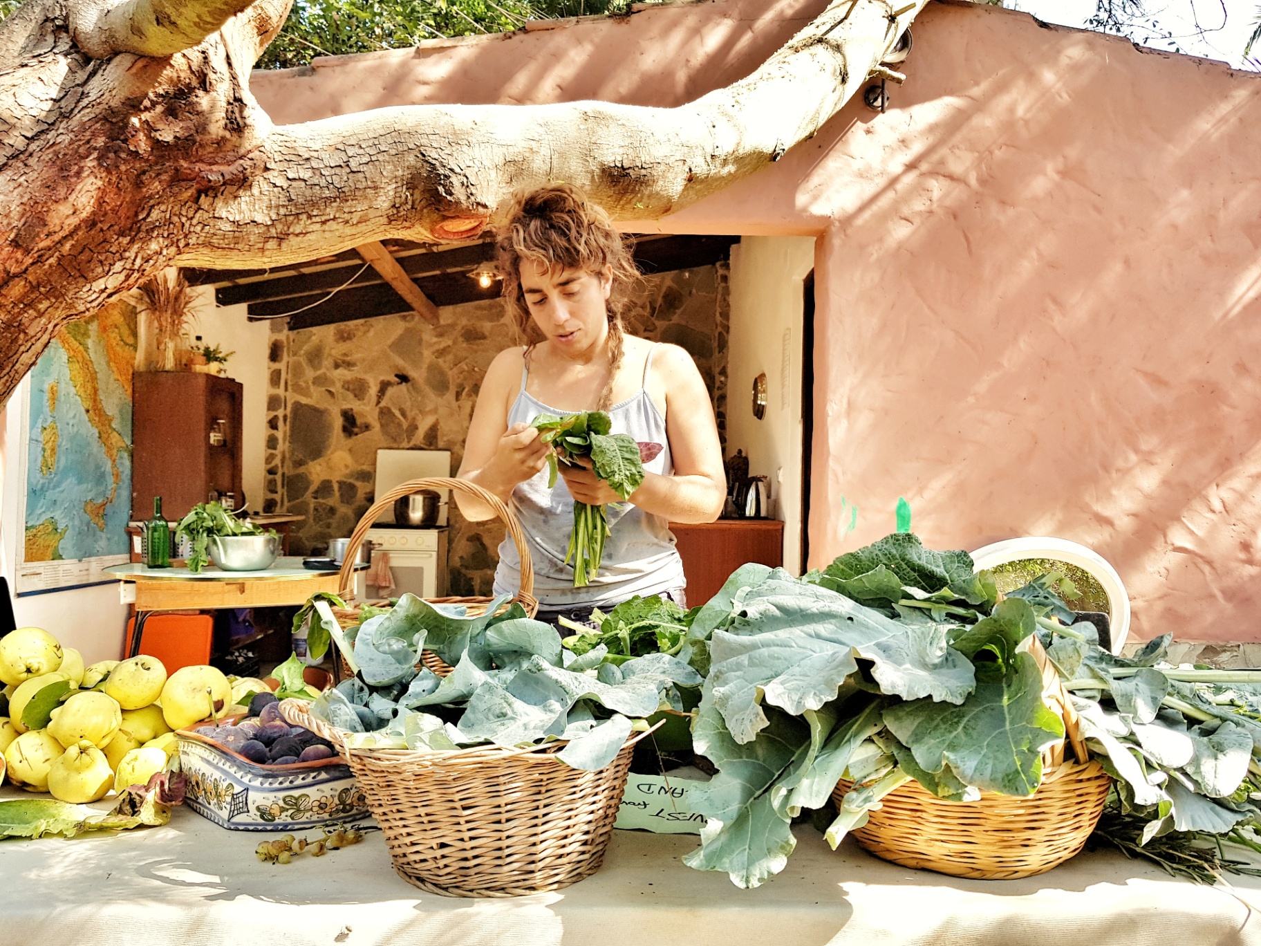 Harvest from the gardens