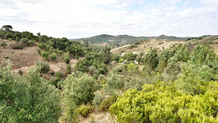 The Alentejo valley, cork oaks, scrubland and hills where the land trust will take root.
