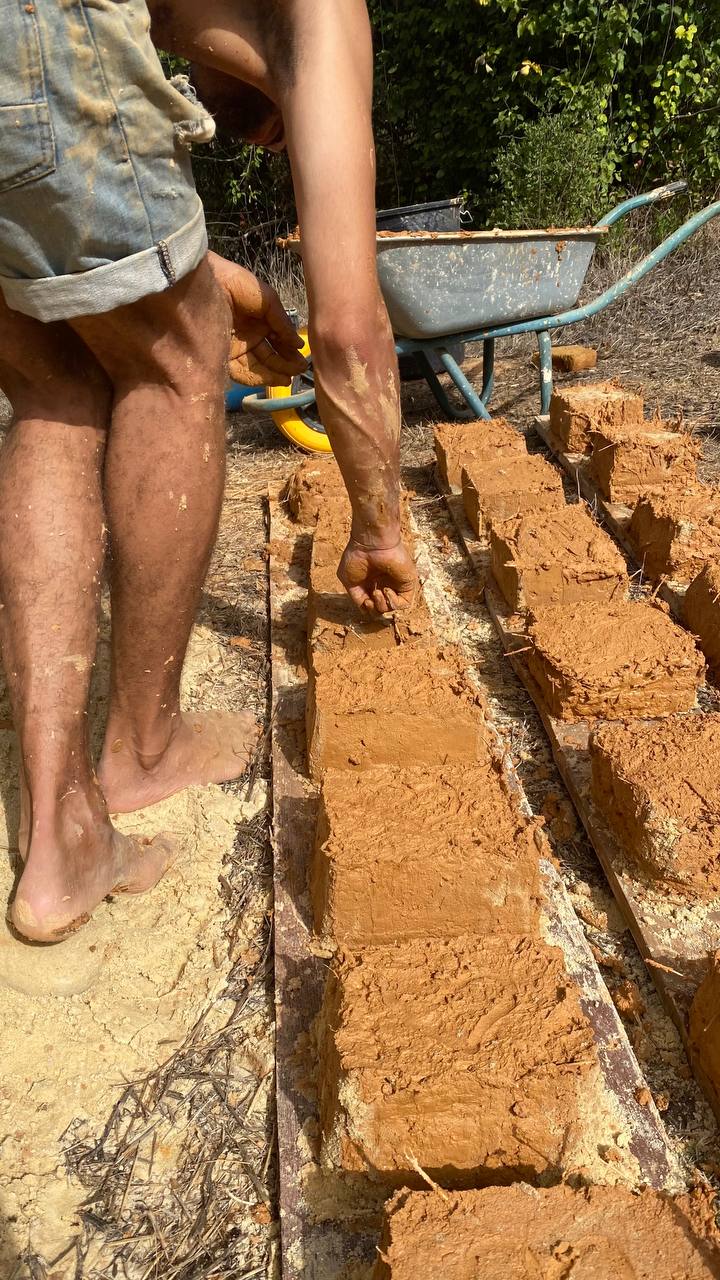 Rows of freshly-pressed earth bricks drying in the sun