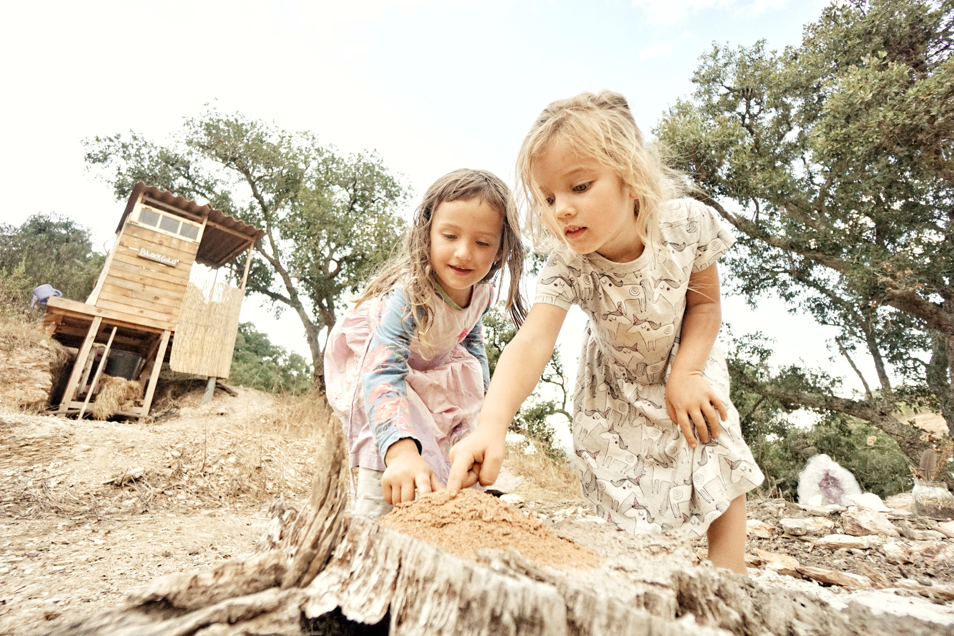 Two children playing with sand on a tree stump.
