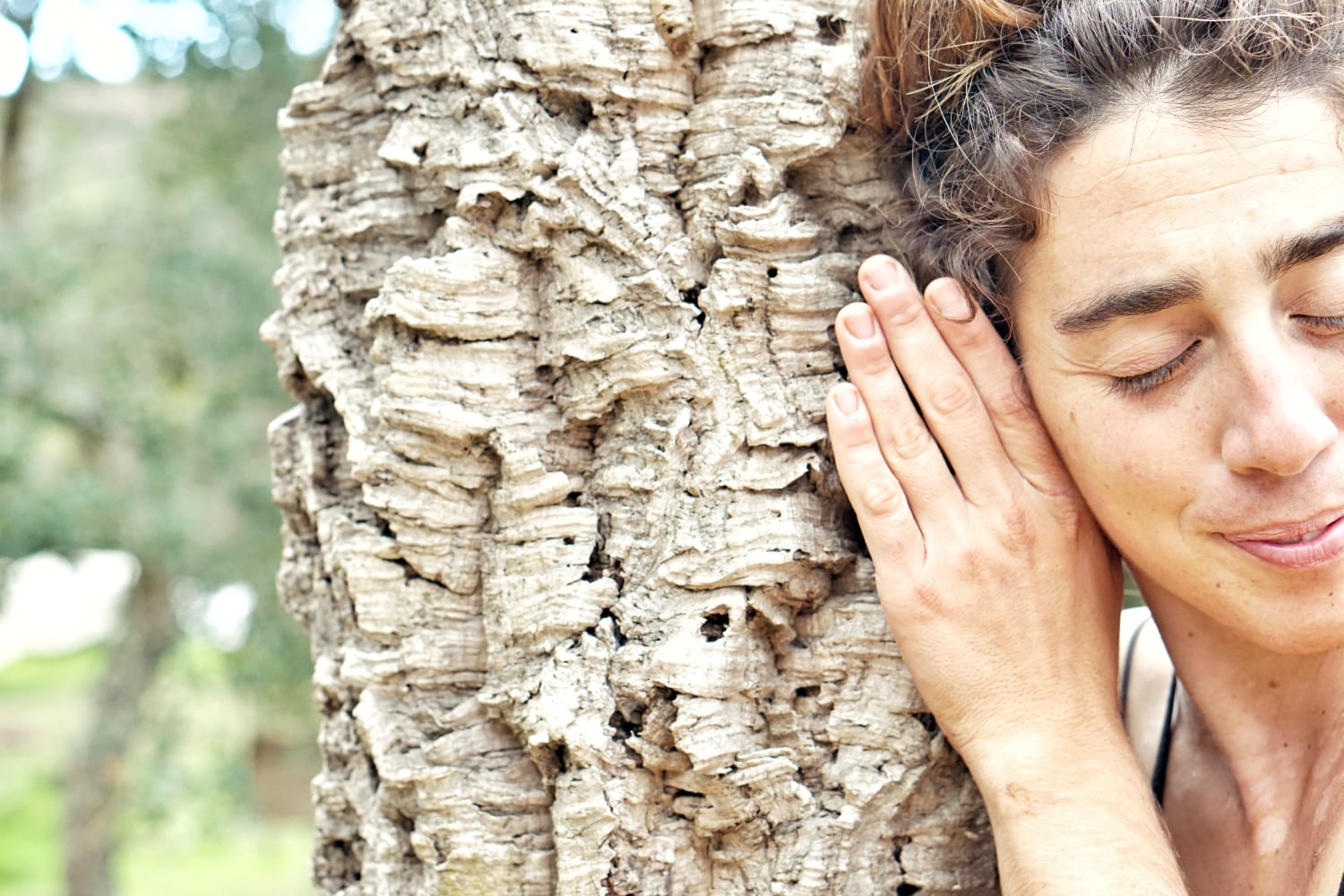 Listening to a cork oak, the land as teacher.