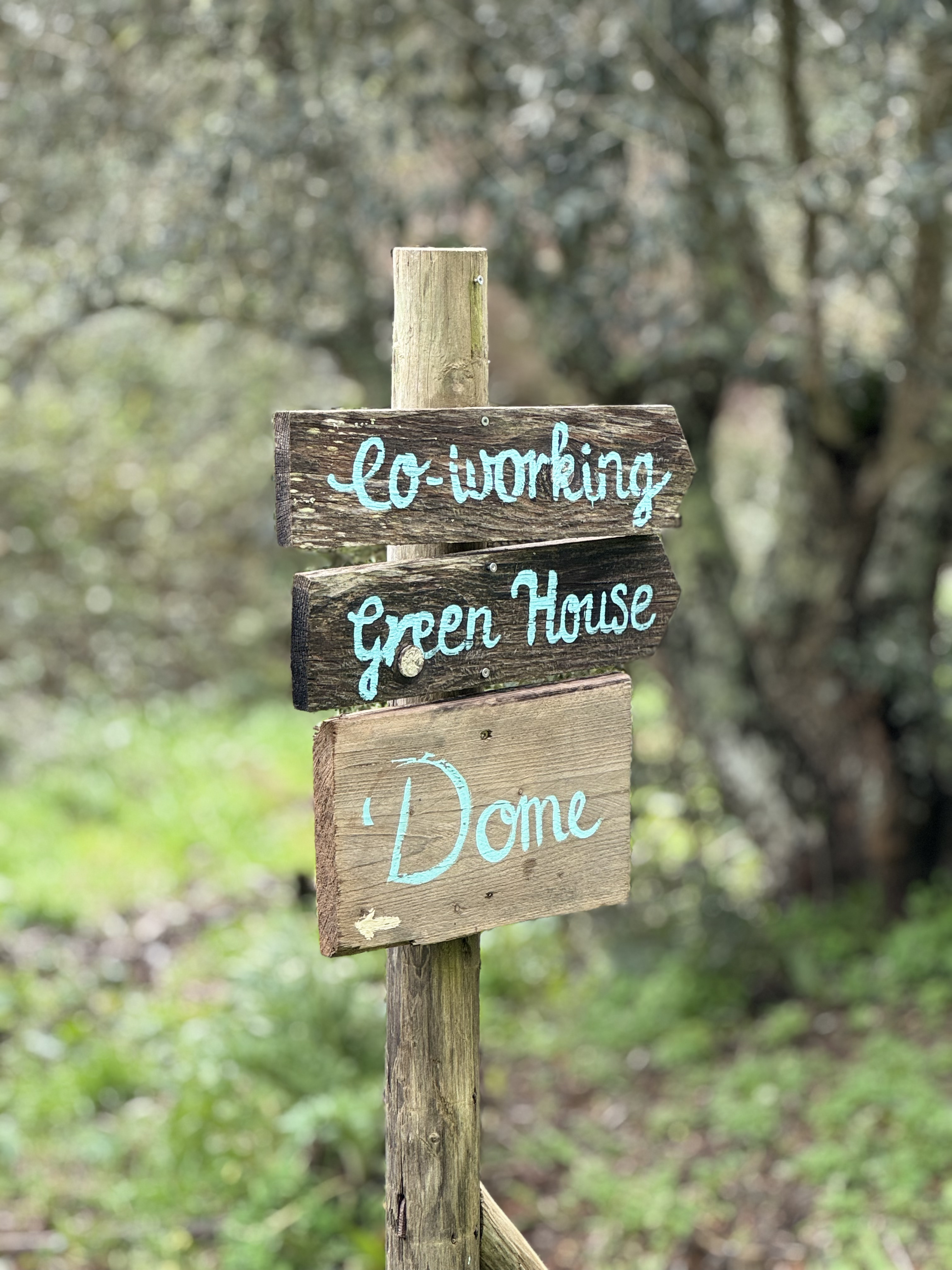 Autumn relational and regeneration gathering