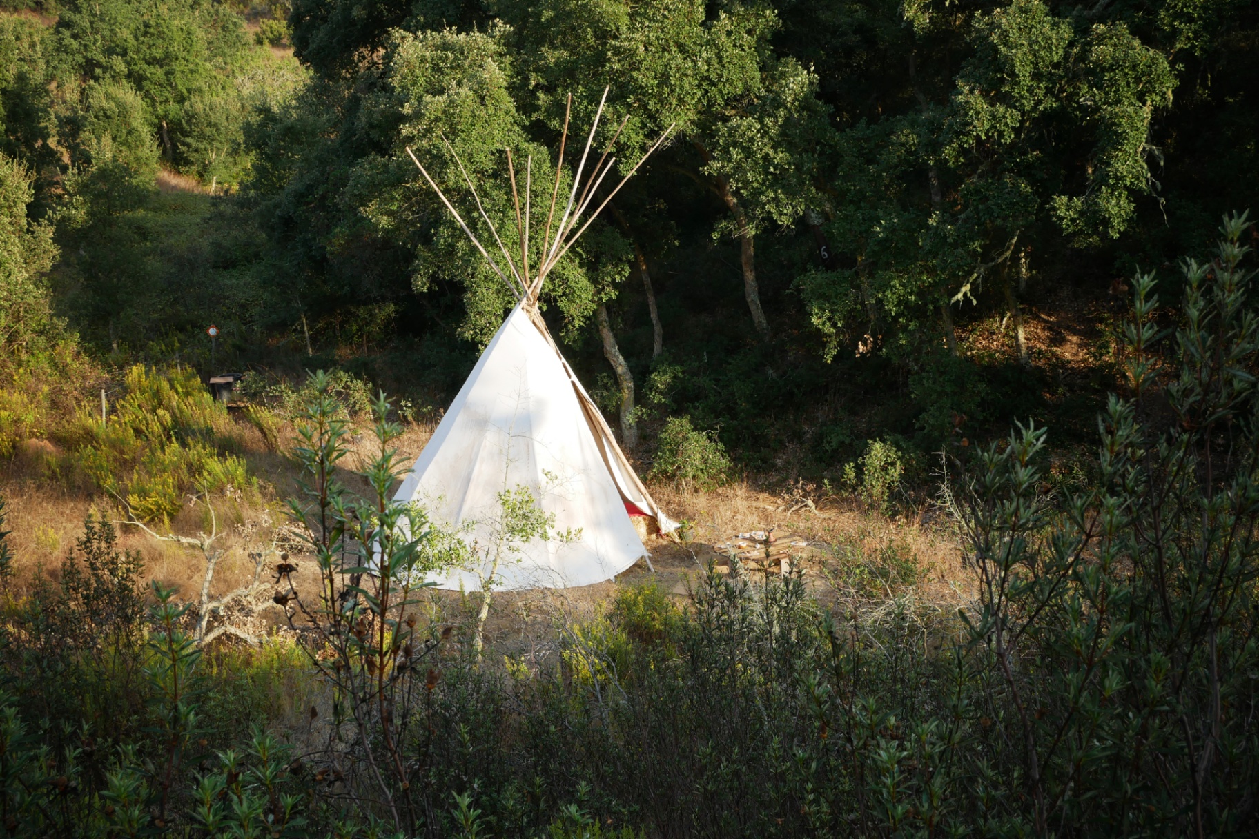 Caravan