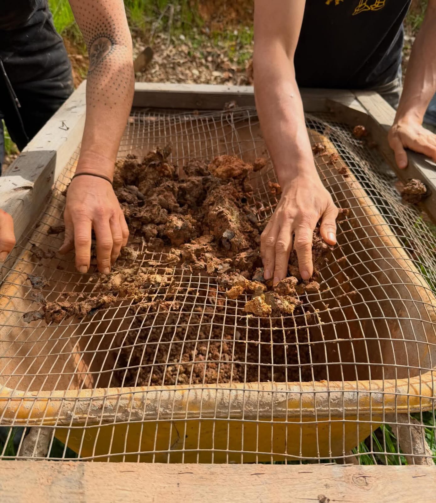 Sieving clay soil through mesh to prepare a plaster mix